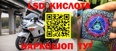 ГАЛЛЮЦИНОГЕННЫЕ ГРИБЫ Кандалакша