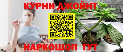 ГАЛЛЮЦИНОГЕННЫЕ ГРИБЫ Кандалакша