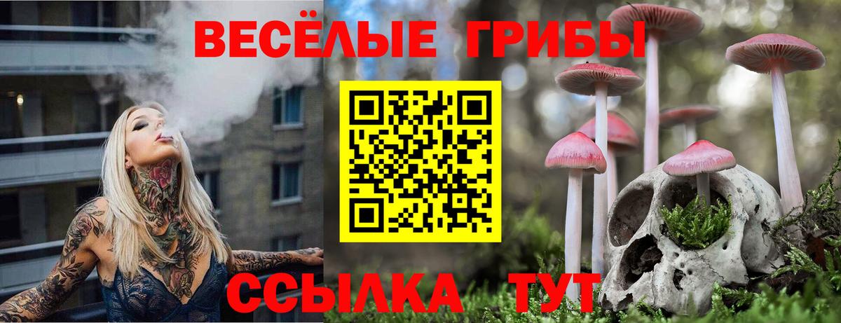 Галлюциногенные грибы GOLDEN TEACHER  Вход с VPN  Кстово 